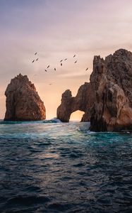 Превью обои море, скалы, птицы, вода, волны