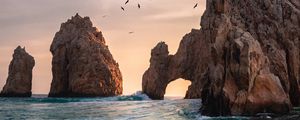 Превью обои море, скалы, птицы, вода, волны