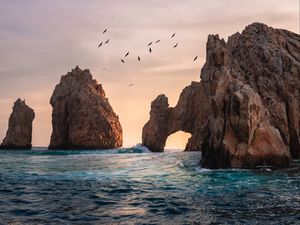 Превью обои море, скалы, птицы, вода, волны