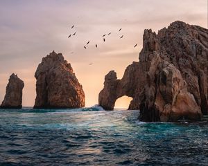 Превью обои море, скалы, птицы, вода, волны