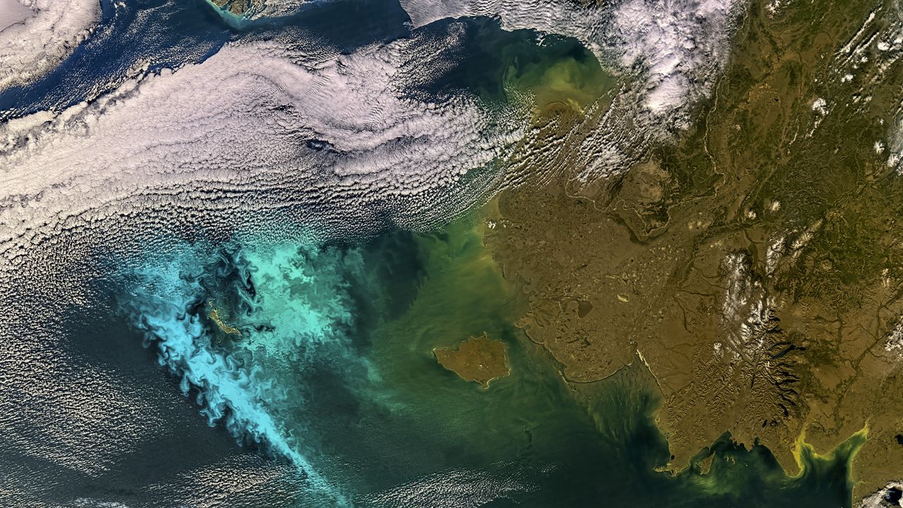 Обои море, течение, планктон, вид сверху