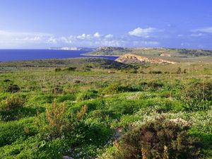 Превью обои море, трава, берег, лето