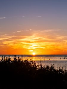 Превью обои море, трава, закат, пейзаж, природа