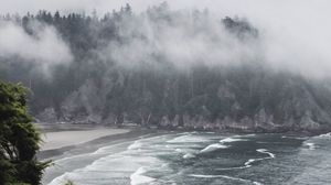 Превью обои море, туман, деревья, кусты