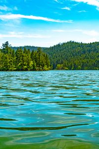 Превью обои море, вода, деревья, лес, холмы
