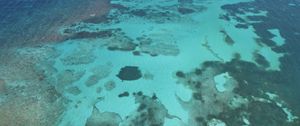 Превью обои море, вода, дно, природа