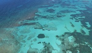Превью обои море, вода, дно, природа