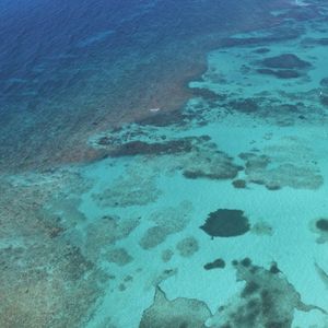Превью обои море, вода, дно, природа