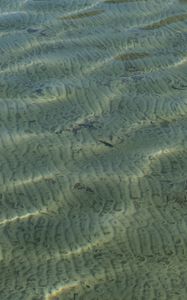 Превью обои море, вода, дно, рябь, блики