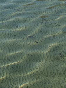 Превью обои море, вода, дно, рябь, блики