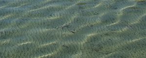 Превью обои море, вода, дно, рябь, блики