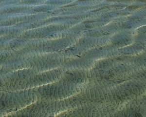 Превью обои море, вода, дно, рябь, блики