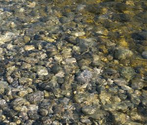 Превью обои море, вода, камни, галька, подводный, природа