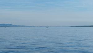 Превью обои море, вода, лодка, горизонт