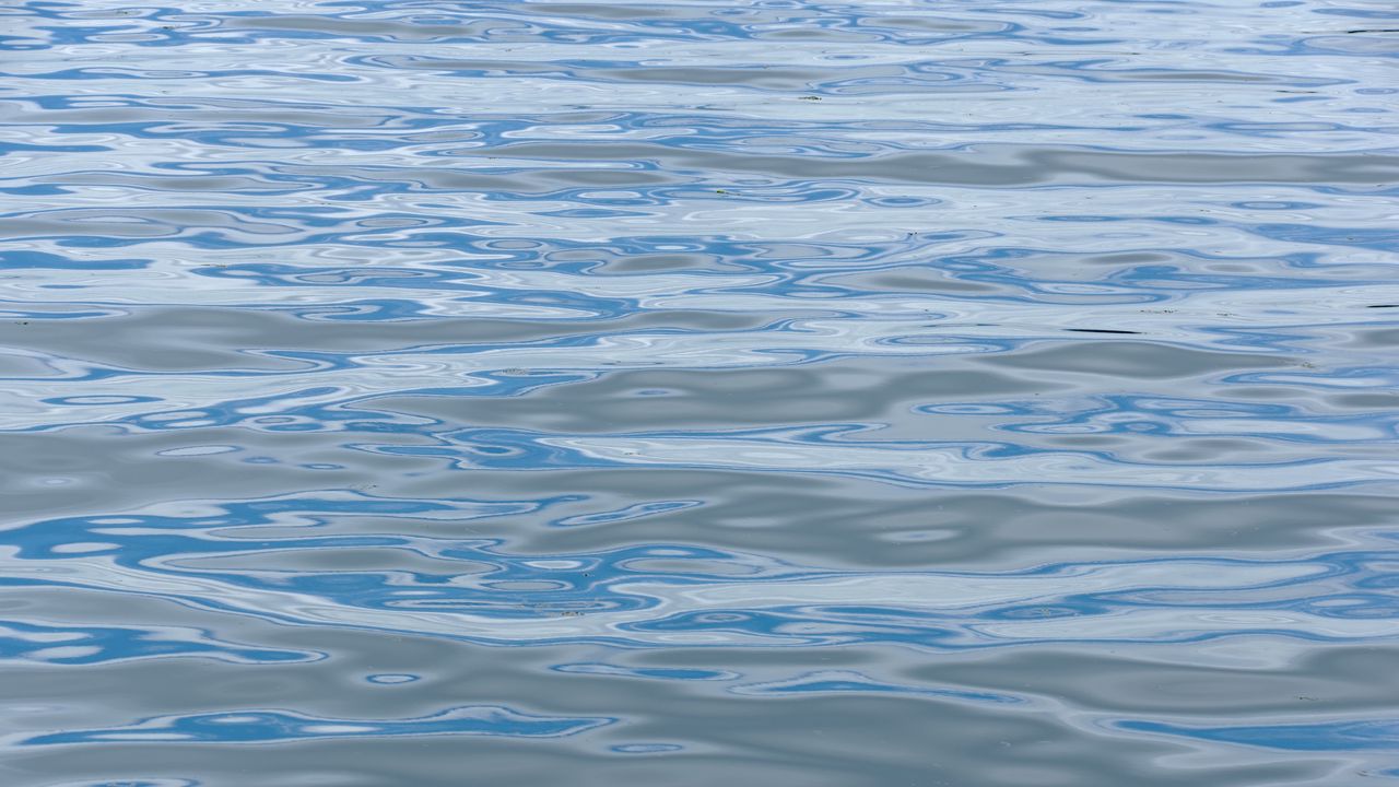Обои море, вода, волны, блики, синий