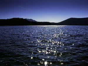 Превью обои море, волны, блики, лес, пейзаж, синий