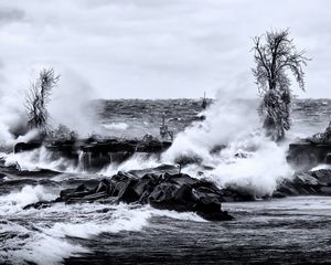 Превью обои море, волны, камни, пейзаж, черно-белый