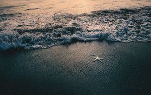 Превью обои море, волны, пляж, морская звезда, сумерки