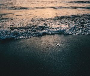 Превью обои море, волны, пляж, морская звезда, сумерки