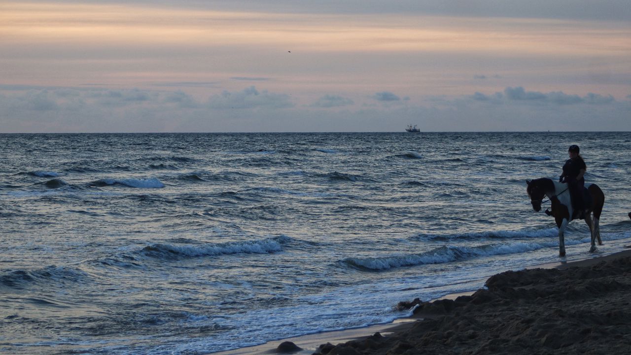 Обои море, волны, прибой, корабль, горизонт, закат, северная голландия