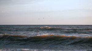 Превью обои море, волны, птицы, побережье, небо