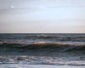 Превью обои море, волны, птицы, побережье, небо