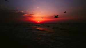 Превью обои море, закат, птицы