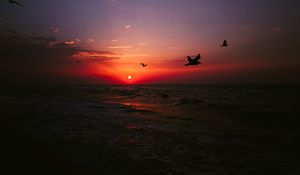 Превью обои море, закат, птицы