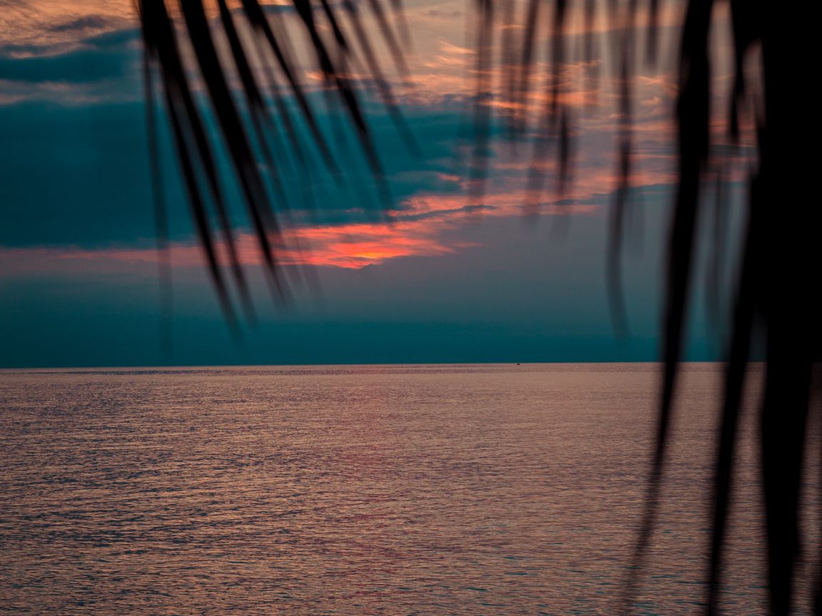 Обои на рабочий стол море Сумерки пальмы. Рисунок закат солнца над морем красками. Пальмы Сумерки. Обои на телефон высокого качества пальмы и закат.