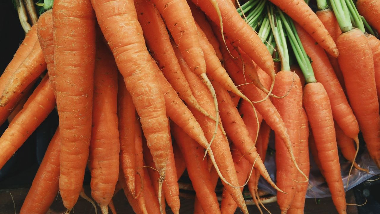 Обои морковь, овощи, много