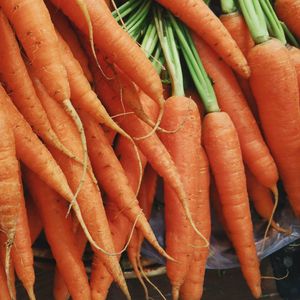 Превью обои морковь, овощи, много