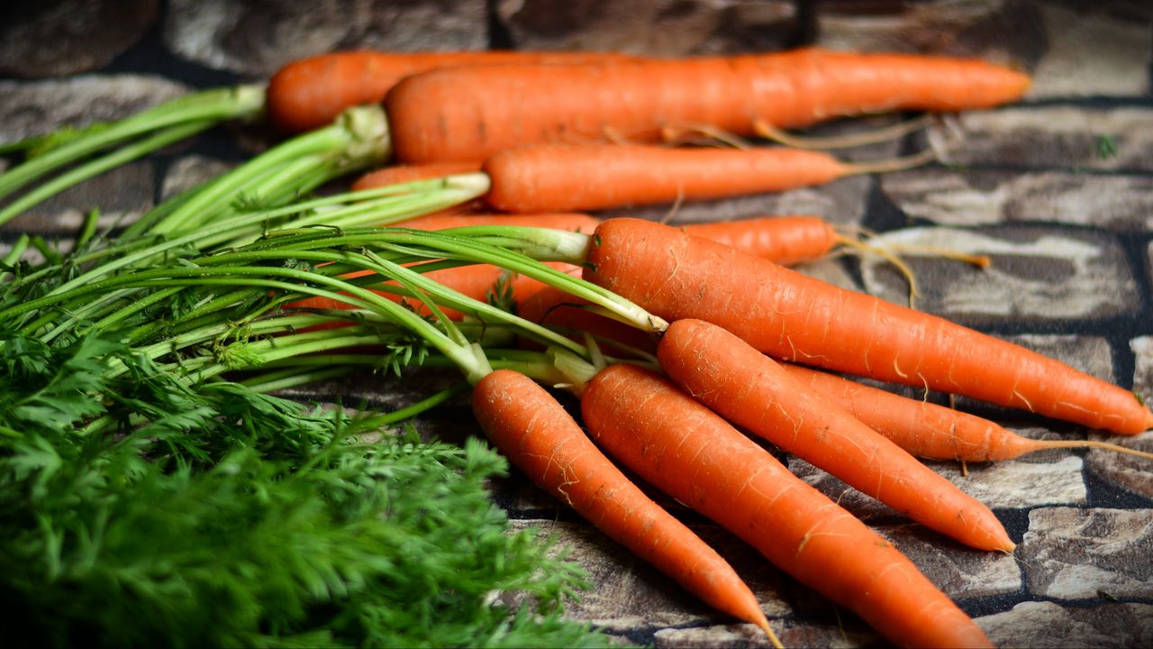 Обои морковь, овощи, урожай