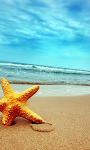 Превью обои морская звезда, берег, пляж, песок