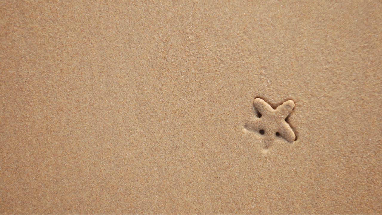 Обои морская звезда, песок, пляж, текстура