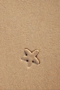 Превью обои морская звезда, песок, пляж, текстура