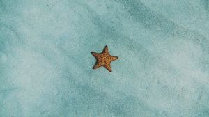 Превью обои морская звезда, песок, поверхность
