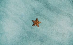 Превью обои морская звезда, песок, поверхность
