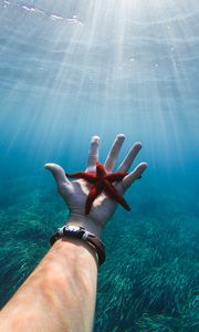 Превью обои морская звезда, рука, вода, под водой