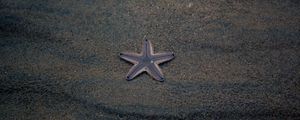 Превью обои морская звезда, звезда, пляж, песок