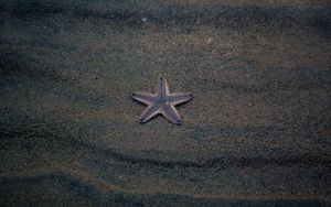 Превью обои морская звезда, звезда, пляж, песок