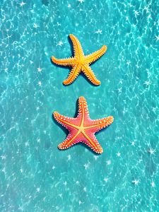 Превью обои морские звезды, подводный мир, вода, блики