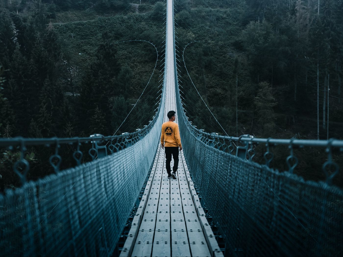 мост и человек