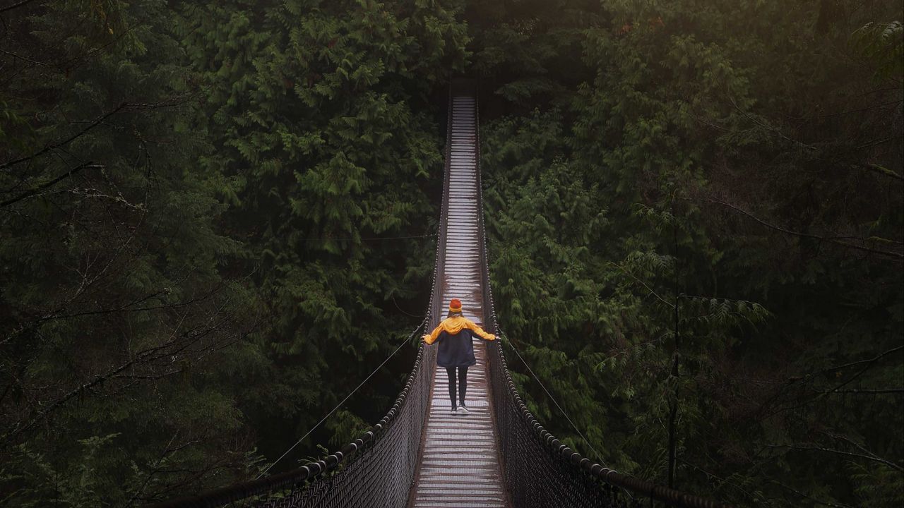 Обои мост, человек, подвесной, деревья, лес, ванкувер, канада