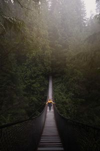 Превью обои мост, человек, подвесной, деревья, лес, ванкувер, канада