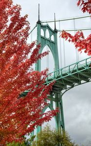 Превью обои мост, деревья, яркий, осень, портленд, орегон