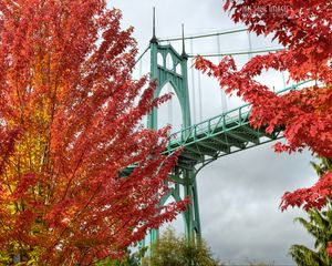 Превью обои мост, деревья, яркий, осень, портленд, орегон