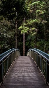 Превью обои мост, деревья, лес, перспектива