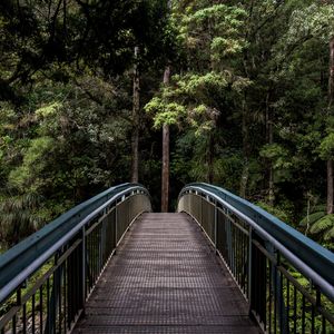 Превью обои мост, деревья, лес, перспектива