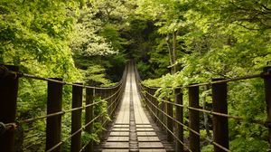 Превью обои мост, деревья, лес, природа, зеленый