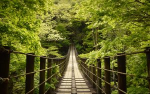 Превью обои мост, деревья, лес, природа, зеленый